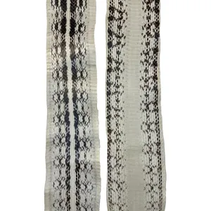 Elaphe Snake Skins