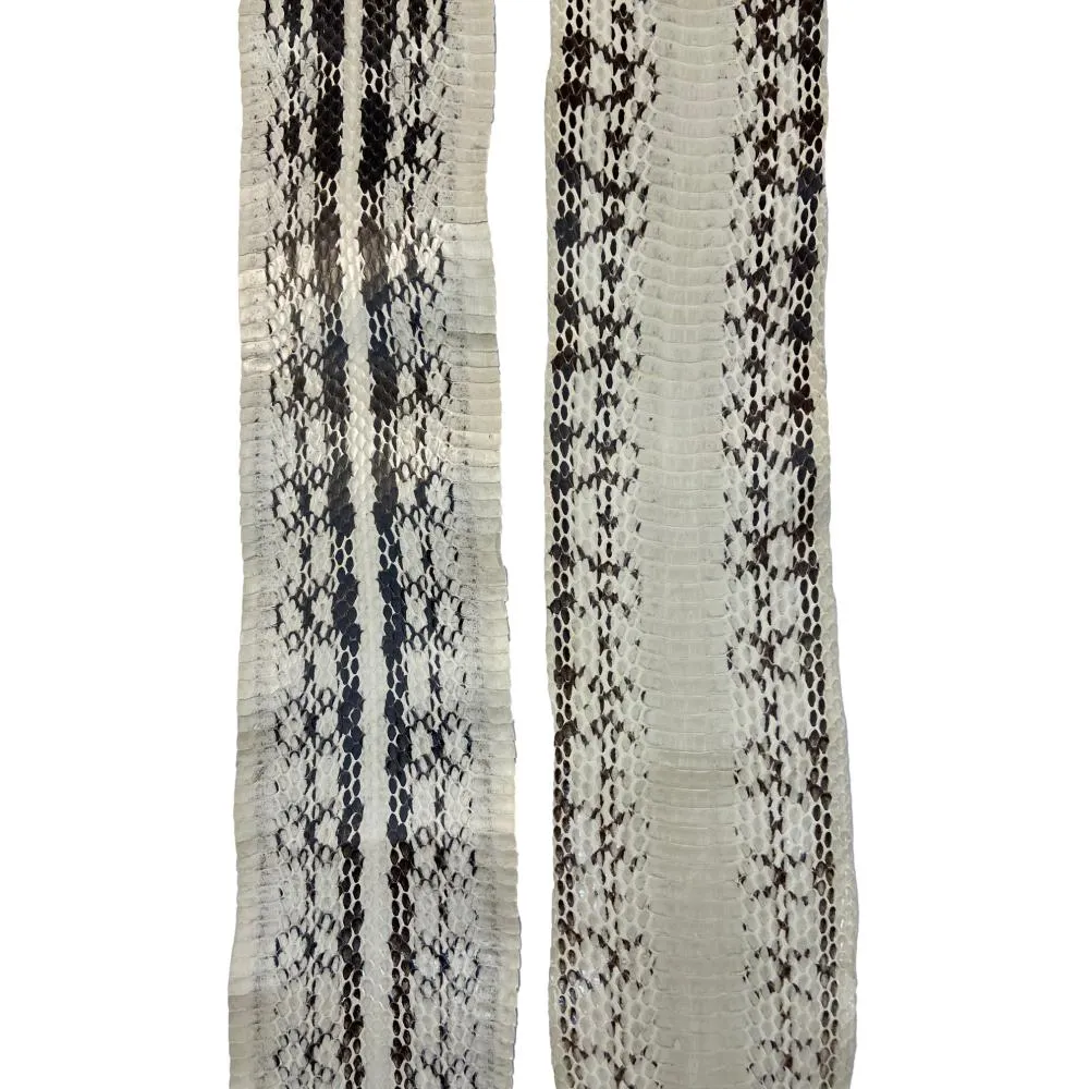 Elaphe Snake Skins