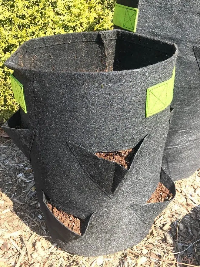 Strawberry & Herb Fabric Planter