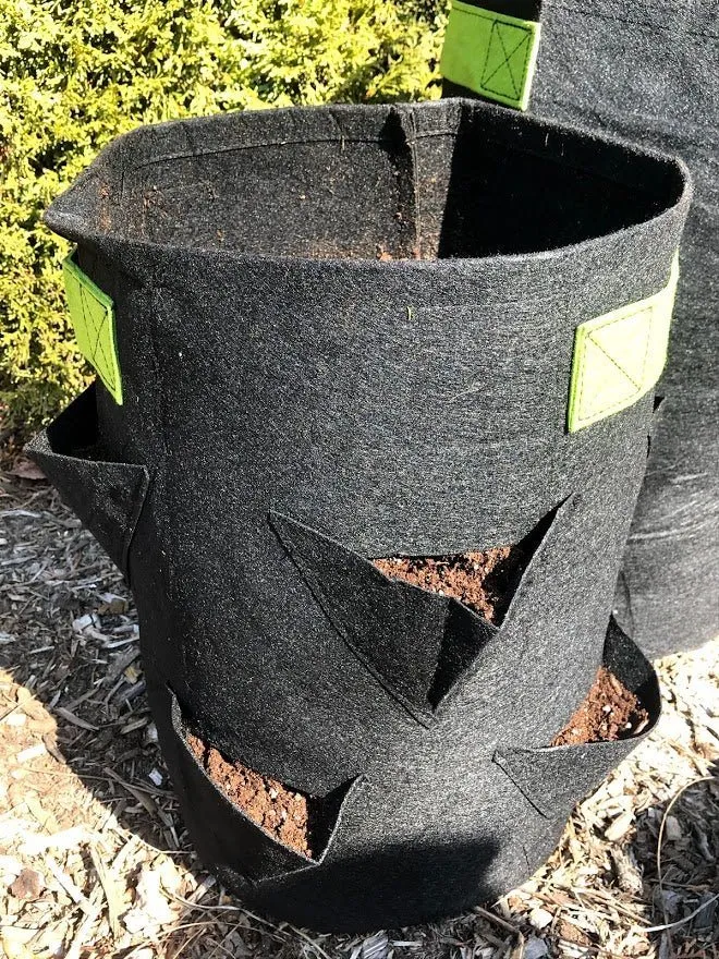 Strawberry & Herb Fabric Planter