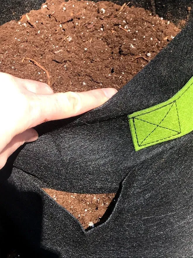 Strawberry & Herb Fabric Planter